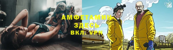 не бодяженный Горно-Алтайск