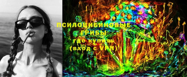 не бодяженный Горно-Алтайск