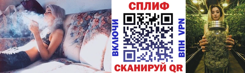 блэк спрут вход Находка МАРИХУАНА план